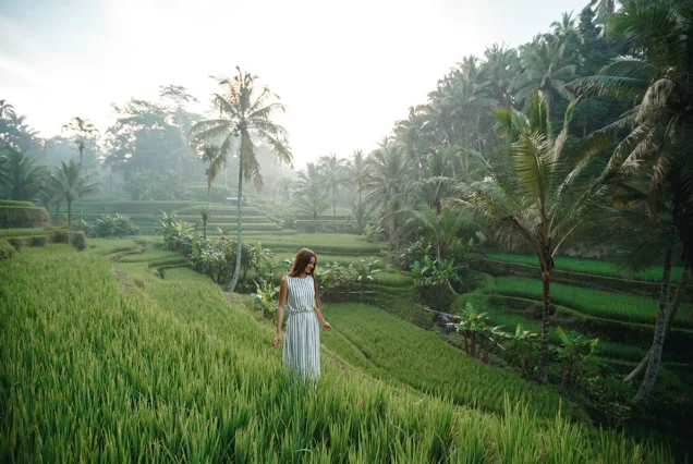 Bali Beckons