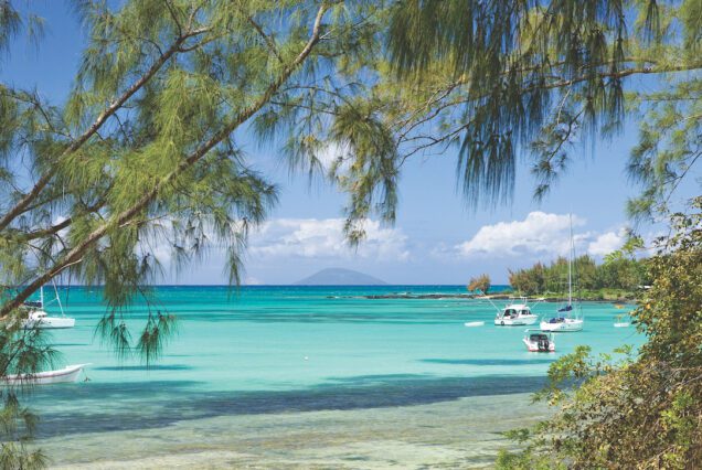 Mauritian Magic