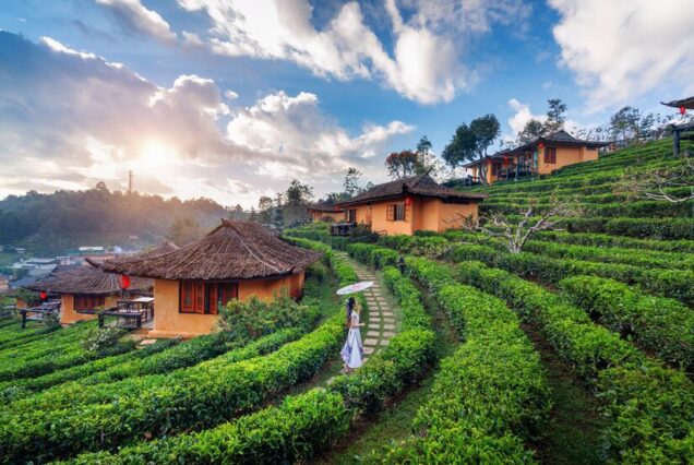 Sikkim & West Bengal